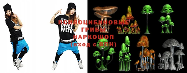 mdma Богородицк