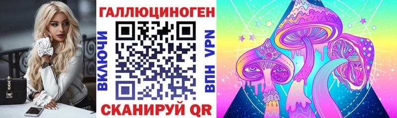 где продают наркотики  Гороховец  Галлюциногенные грибы Cubensis 